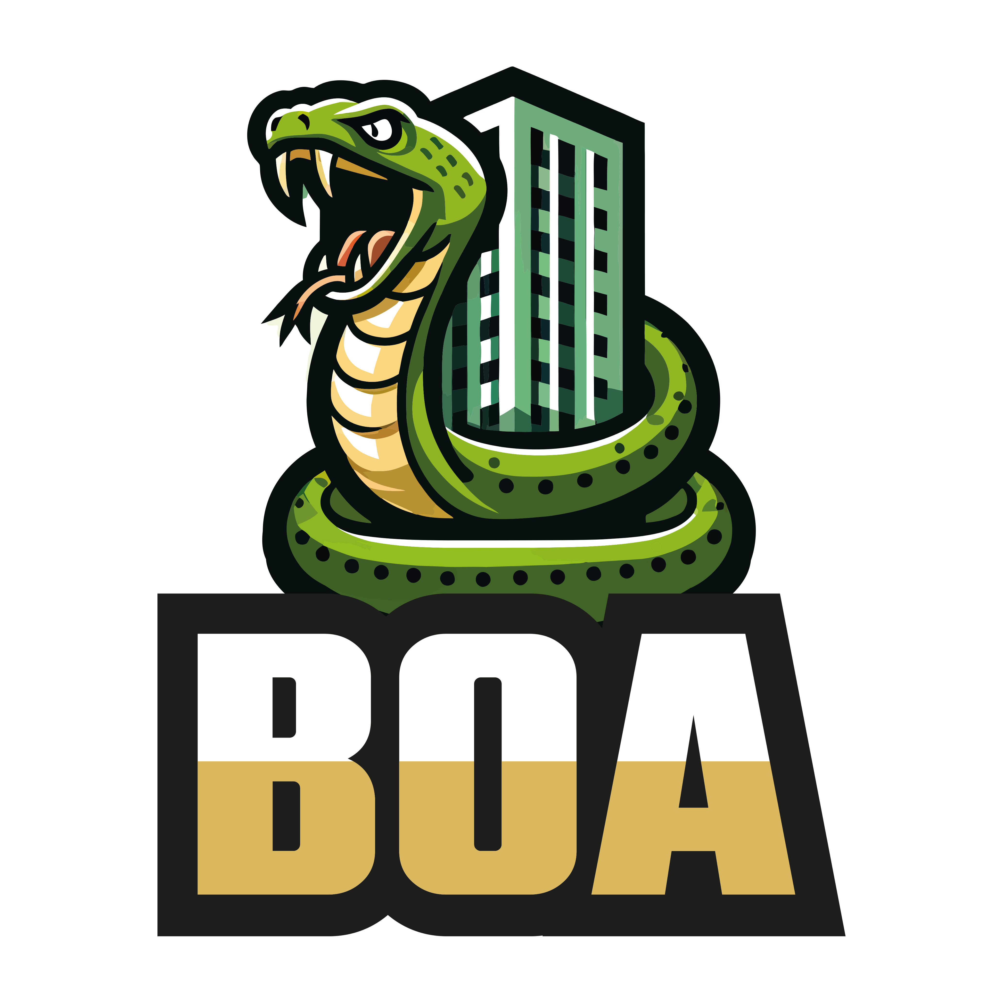 BOA Logo